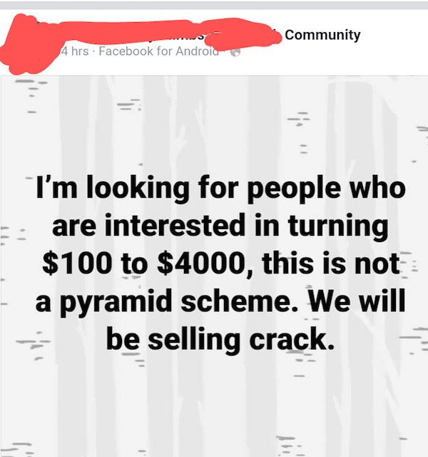 funny weird craigslist listings - I'm looking for people who are interested in turning $100 to $4000, this is not a pyramid scheme. We will be selling crack.