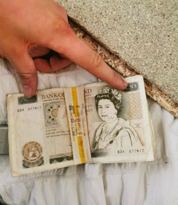 Refitting our new house’s loft (attic) and found £500 of 1981 currency wrapped in insulation!
