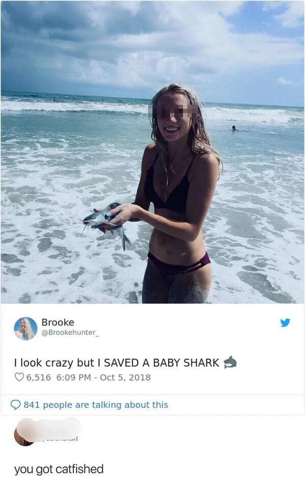 funny pics - I look crazy but I Saved A Baby Shark - you got catfished