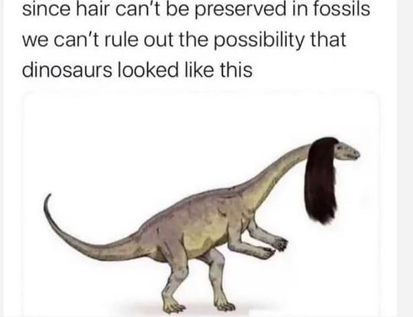 funny pics - since hair can't be preserved in fossils we can't rule out the possibility that dinosaurs looked like this