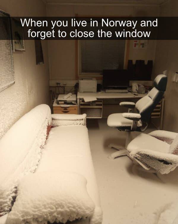 you live in svalbard norway and forgot to close the window - When you live in Norway and forget to close the window