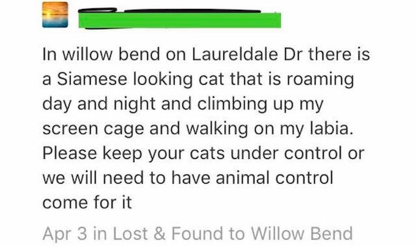 paper - In willow bend on Laureldale Dr there is a Siamese looking cat that is roaming day and night and climbing up my screen cage and walking on my labia. Please keep your cats under control or we will need to have animal control come for it Apr 3 in Lo
