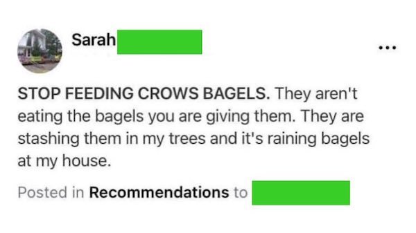 diagram - Sarah ... Stop Feeding Crows Bagels. They aren't eating the bagels you are giving them. They are stashing them in my trees and it's raining bagels at my house. Posted in Recommendations to