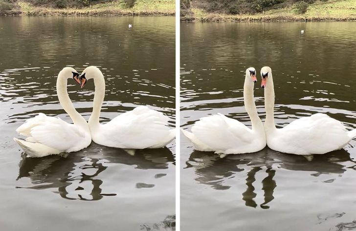 “I interrupted their moment.”