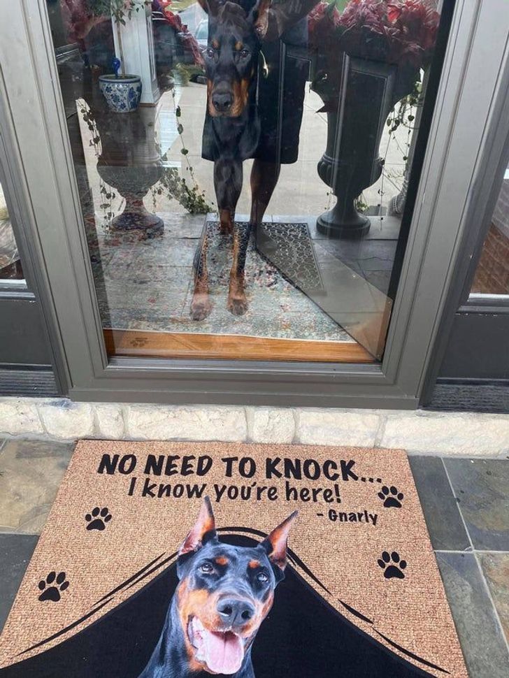 The dog is the doorbell.