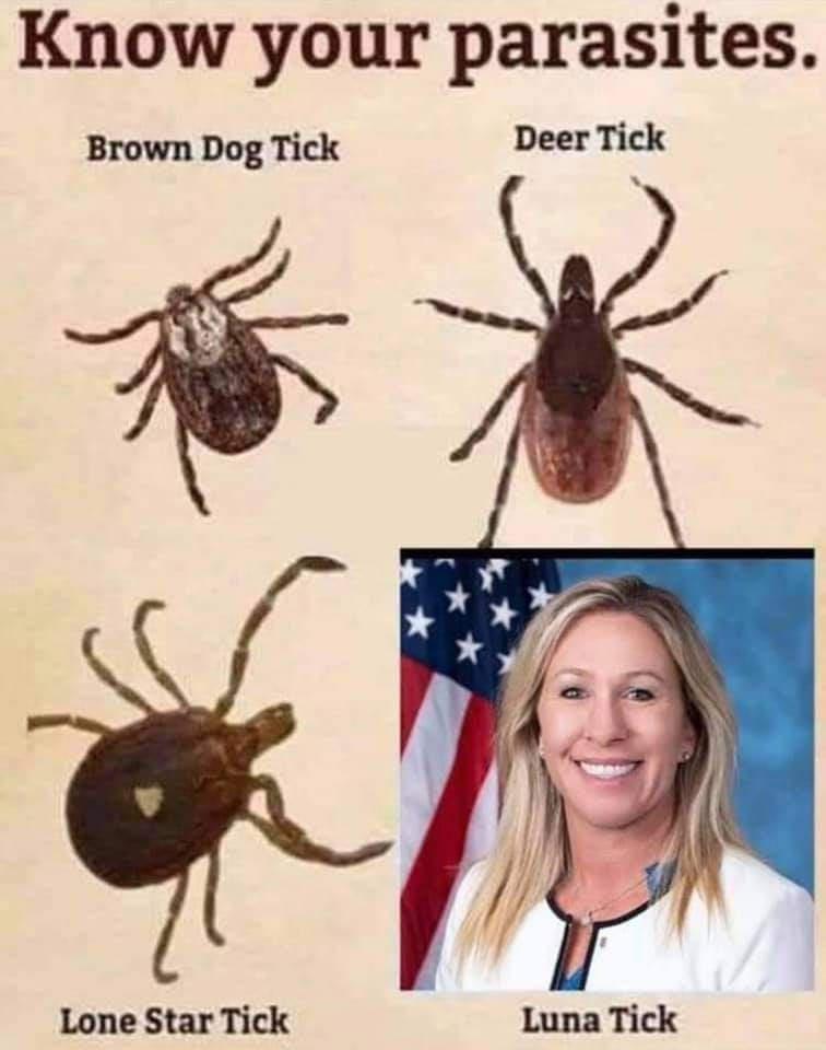 nancy pelosi tick joke - Know your parasites. Brown Dog Tick Deer Tick Lone Star Tick Luna Tick