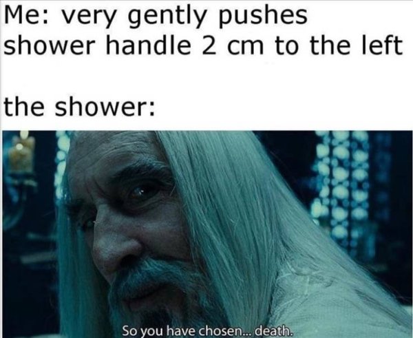 funny memes and pics - Me very gently pushes shower handle 2 cm to the left the shower So you have chosen... death.