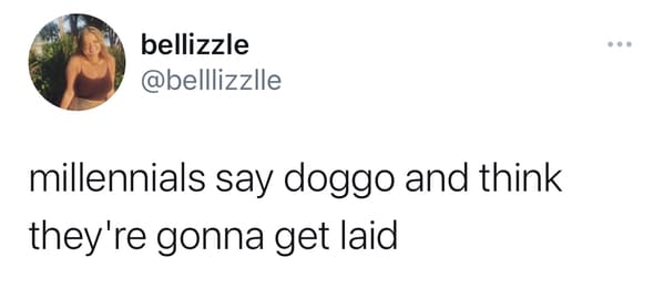funny gen z zoomer millennial jokes - millennials say doggo and think they're gonna get laid