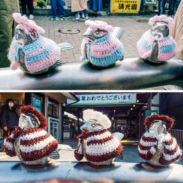 “There are special sparrows living near one of the metro stations in Japan. One granny living nearby regularly makes cute outfits for them. She changes them 2 times a month.”