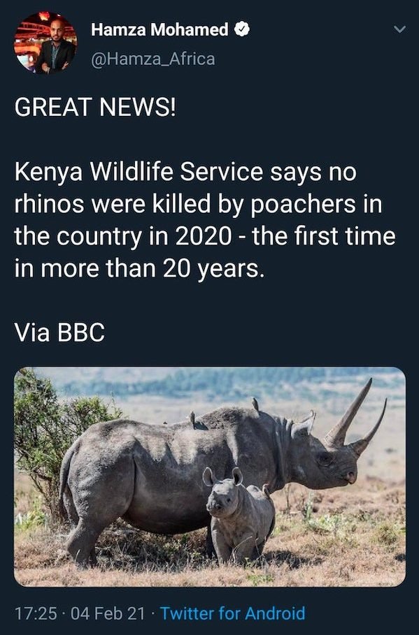 fauna - Hamza Mohamed Great News! Kenya Wildlife Service says no rhinos were killed by poachers in the country in 2020 the first time in more than 20 years. Via Bbc . 04 Feb 21 Twitter for Android