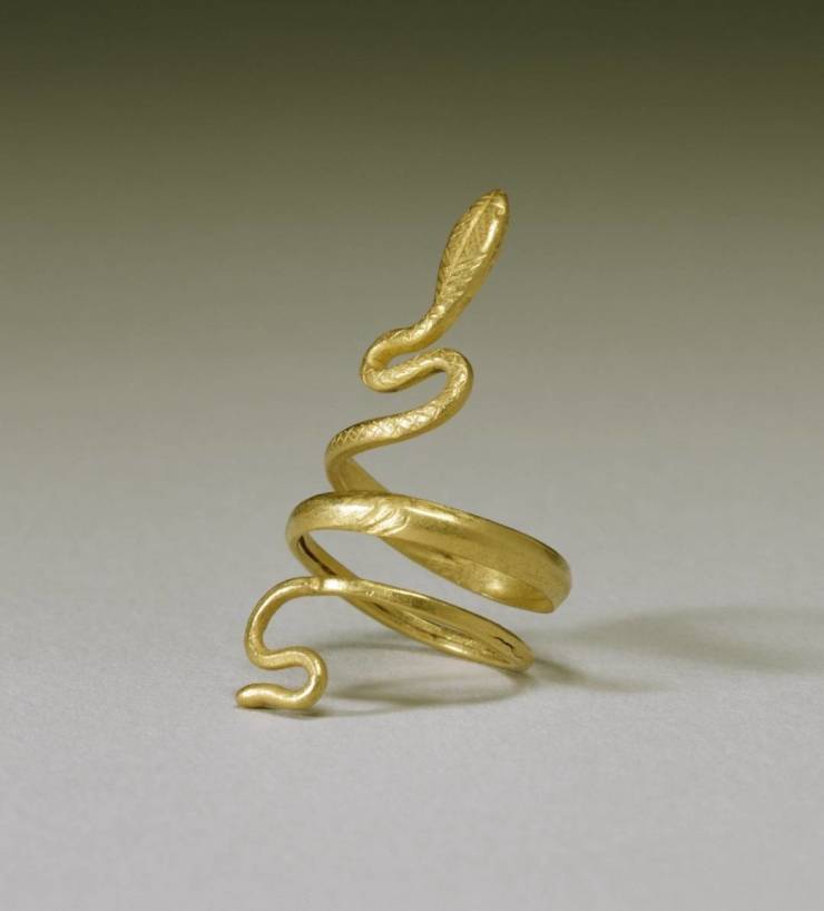 cool pics - gold snake ring