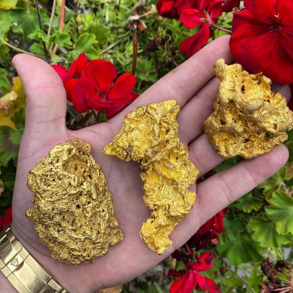 cool pics - real gold nuggets from australia