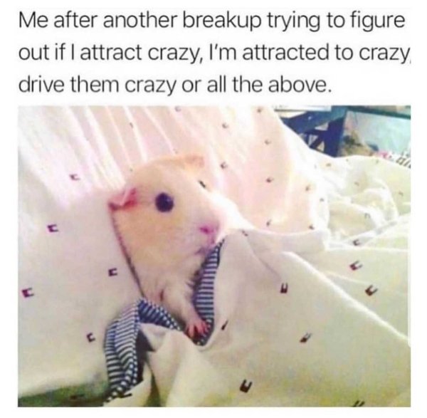 me after another break up - Me after another breakup trying to figure out if I attract crazy, I'm attracted to crazy drive them crazy or all the above.