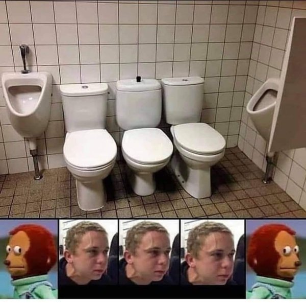 toilet fail