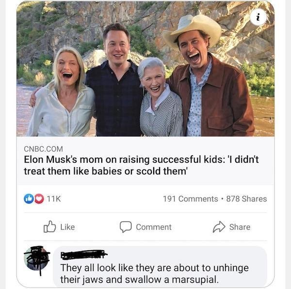 maye musk - .Ru Cnbc.Com Elon Musk's mom on raising successful kids 'I didn't treat them babies or scold them' 11K 191 . 878 Comment They all look they are about to unhinge their jaws and swallow a marsupial.