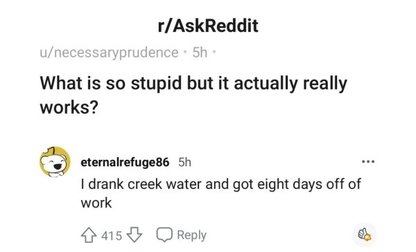 document - rAskReddit unecessaryprudence 5h What is so stupid but it actually really works? eternalrefuge86 5h I drank creek water and got eight days off of work 415