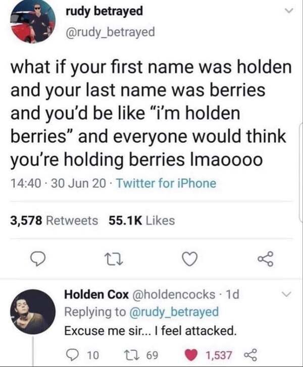 Humour - rudy betrayed what if your first name was holden and your last name was berries and you'd be "i'm holden berries" and everyone would think you're holding berries Imaoooo . 30 Jun 20 Twitter for iPhone 3,578 27 Holden Cox . 1d Excuse me sir... I f