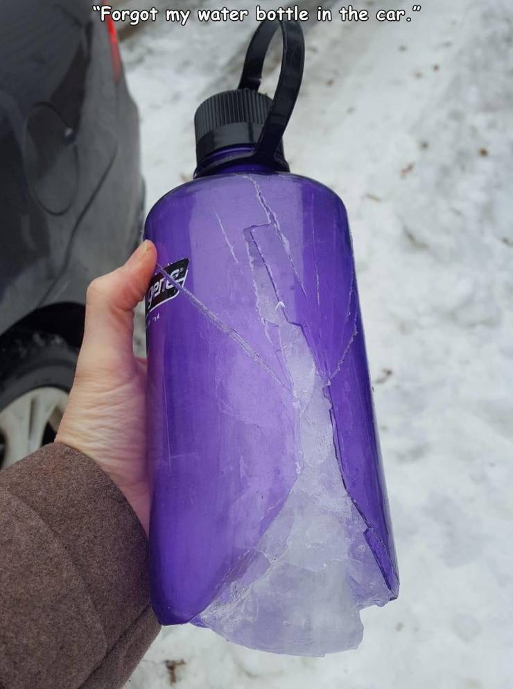 lilac - "Forgot my water bottle in the car. 29