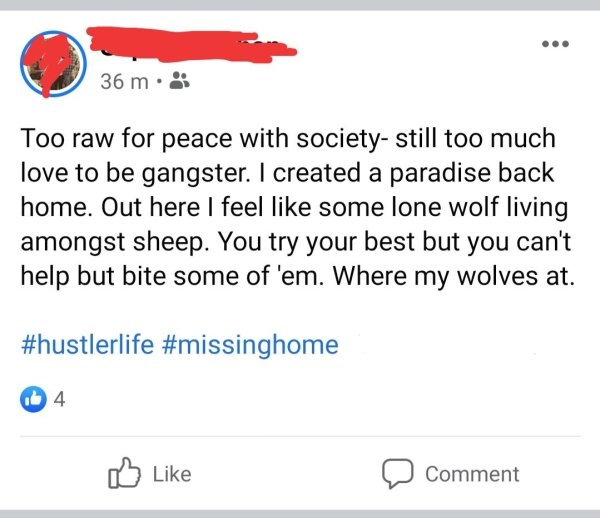 document - 36 m. Too raw for peace with society still too much love to be gangster. I created a paradise back home. Out here I feel some lone wolf living amongst sheep. You try your best but you can't help but bite some of 'em. Where my wolves at. 4 Comme