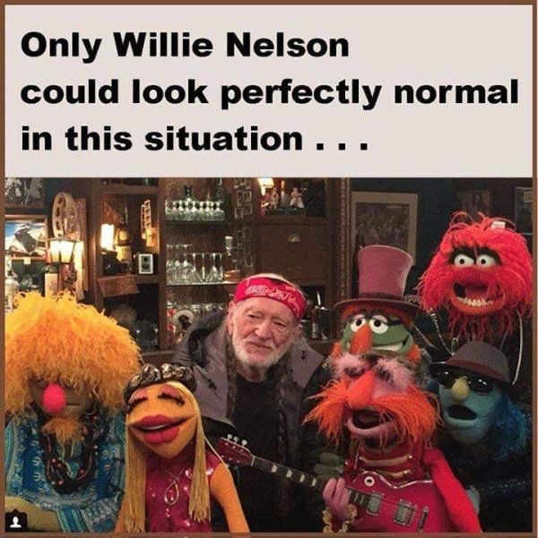 funny pics and memes - funny high memes - Only Willie Nelson could look perfectly normal in this situation ...