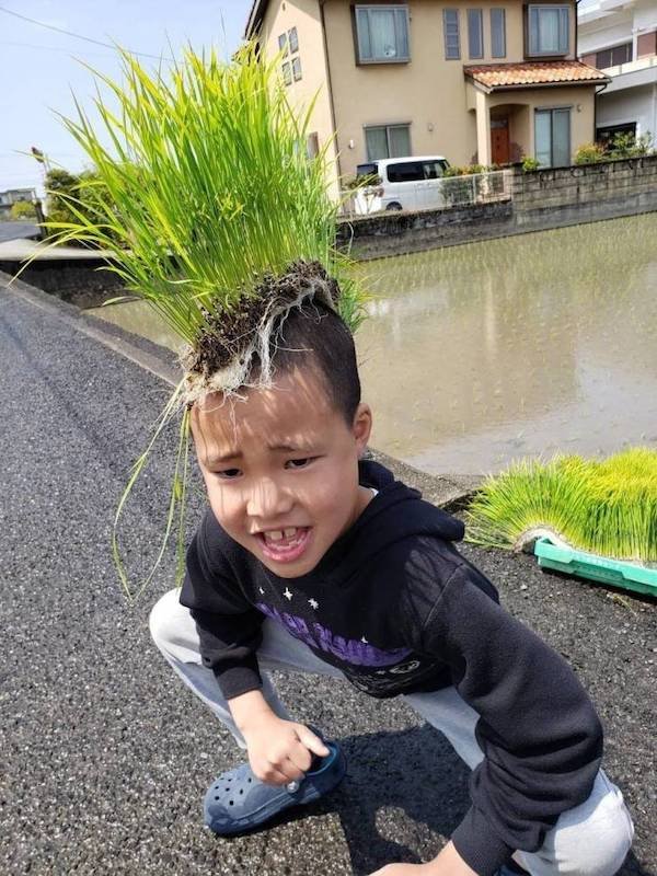 funny pics and memes - kid with grass on his head