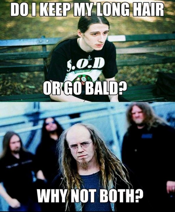 funny pics and memes - Do I Keep My Long Hair Or Go Bald? Why Not Both?