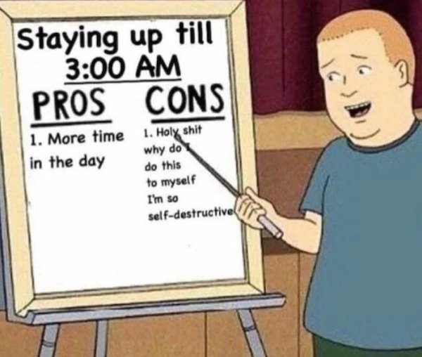 funny pics and memes - Staying up till 3 am Pros Cons 1. More time in the day 1. Holy shit why do I do this to myself I'm so self destructive