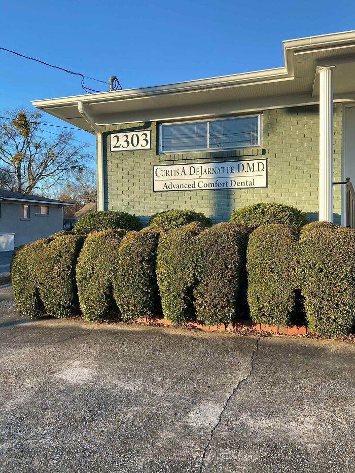 "This Dental Office Trims Their Shrubs To Look Like Molars"