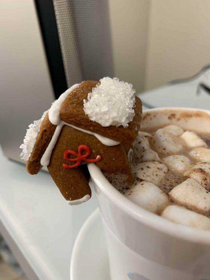 "My Sister Gave Me Hot Cocoa With A Tiny Gingerbread House Hanging On The Cup"