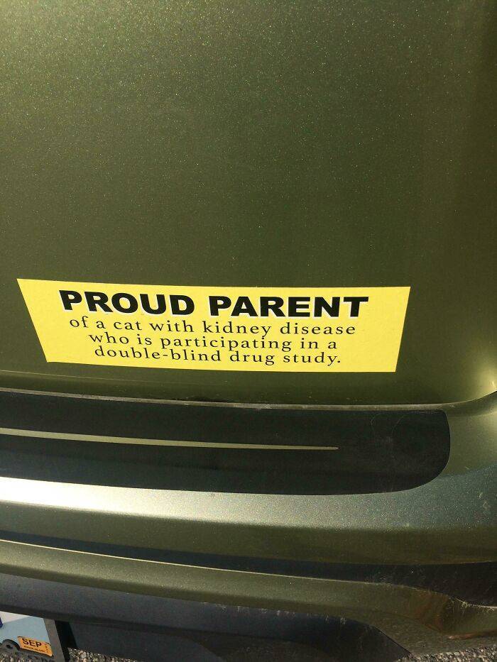 "This Bumper Sticker I Passed Walking In My Neighborhood"