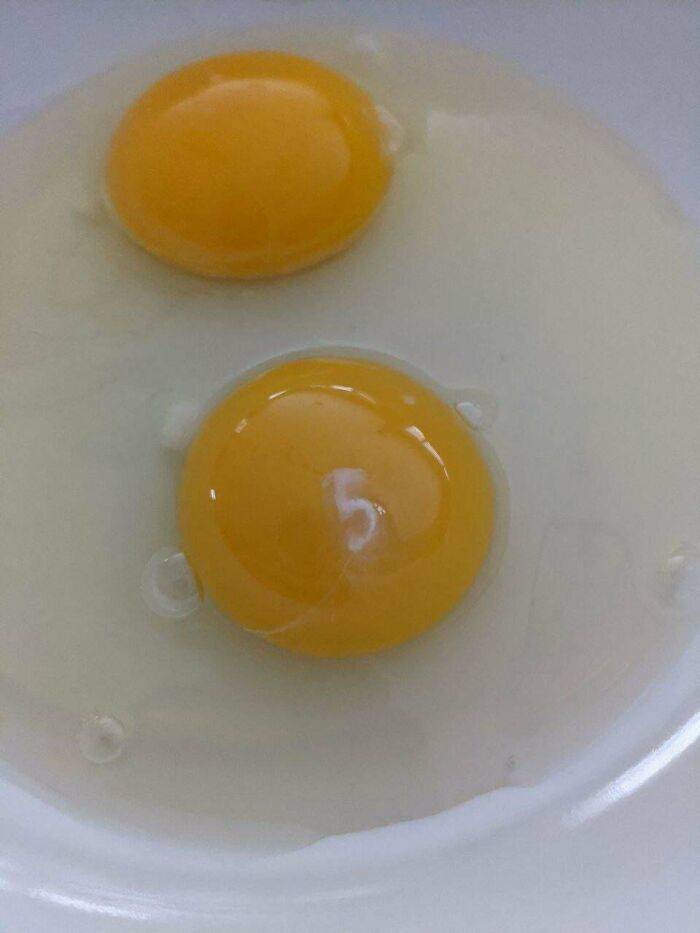 "My Raw Egg Has The Number 5 On Its Yolk"