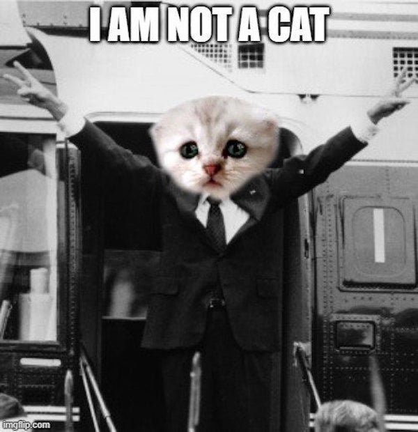 funny pics and memes - richard nixon i am not a crook - I Am Not A Cat