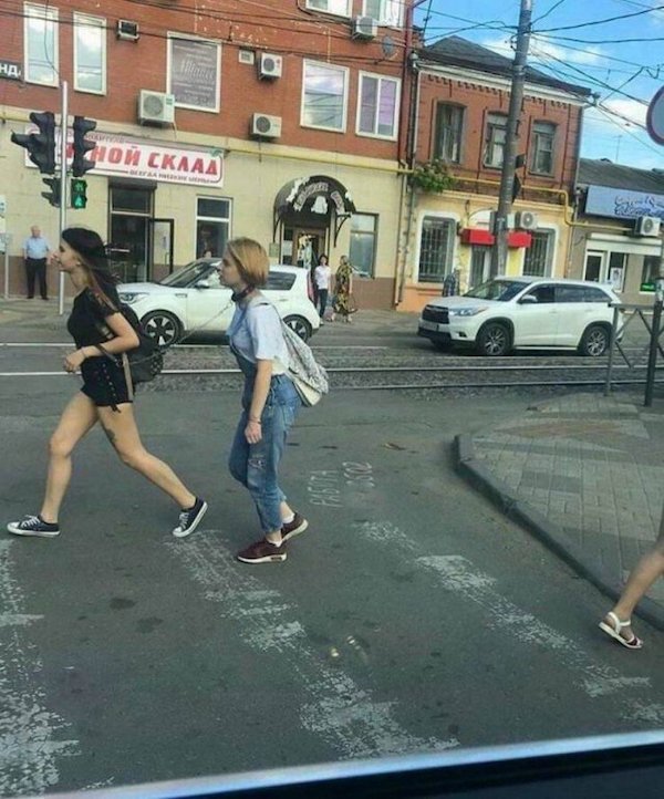funny pics and memes - woman walking another woman with a collar and leash