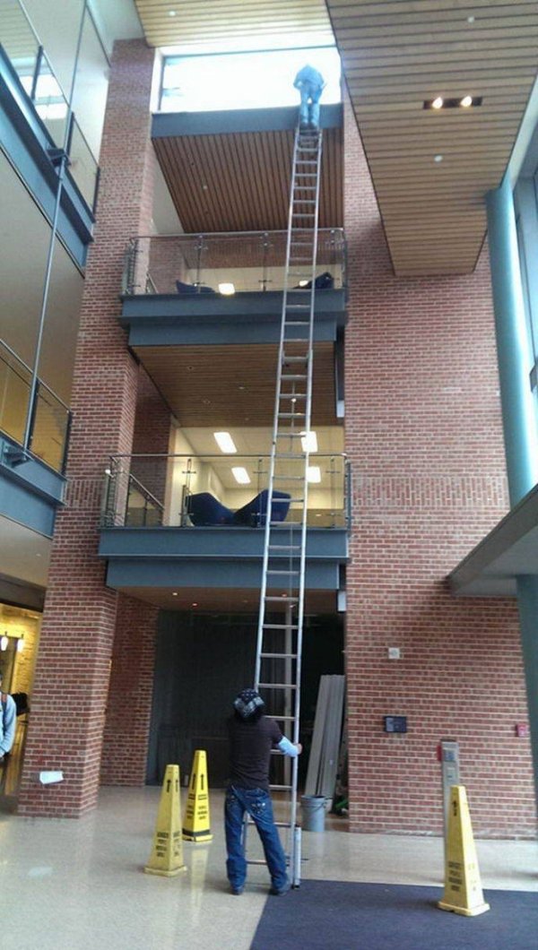 funny pics and memes - safety ladder funny