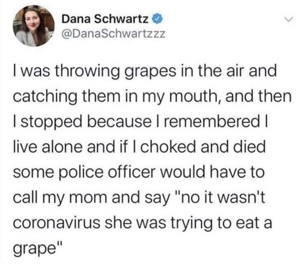 middle school text posts - Dana Schwartz I was throwing grapes in the air and catching them in my mouth, and then I stopped because I remembered I live alone and if I choked and died some police officer would have to call my mom and say "no it wasn't coro