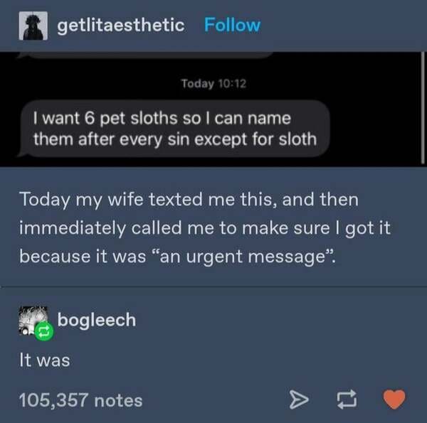 screenshot - getlitaesthetic Today I want 6 pet sloths so I can name them after every sin except for sloth Today my wife texted me this, and then immediately called me to make sure I got it because it was "an urgent message". bogleech It was 105,357 notes