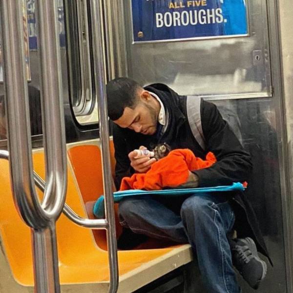 man spotted with tiny kitten on subway - All Five Boroughs.