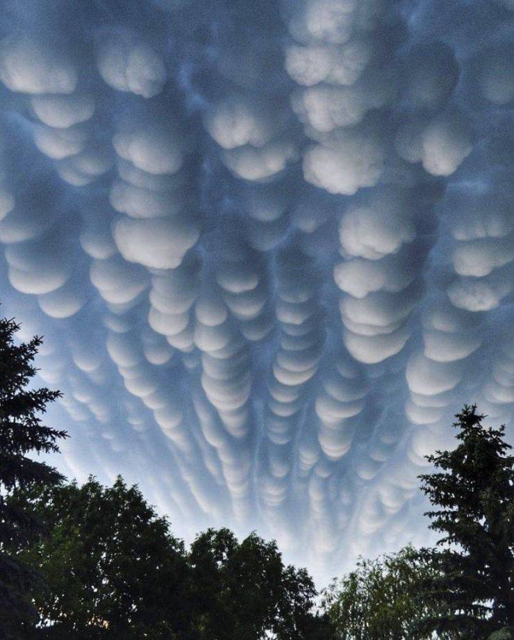 Mammatus