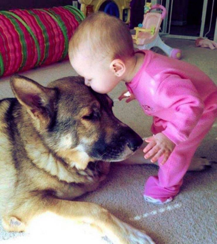 baby kissing dog