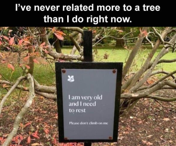 tree - I've never related more to a tree than I do right now. I am very old and I need to rest Please don't climb on me