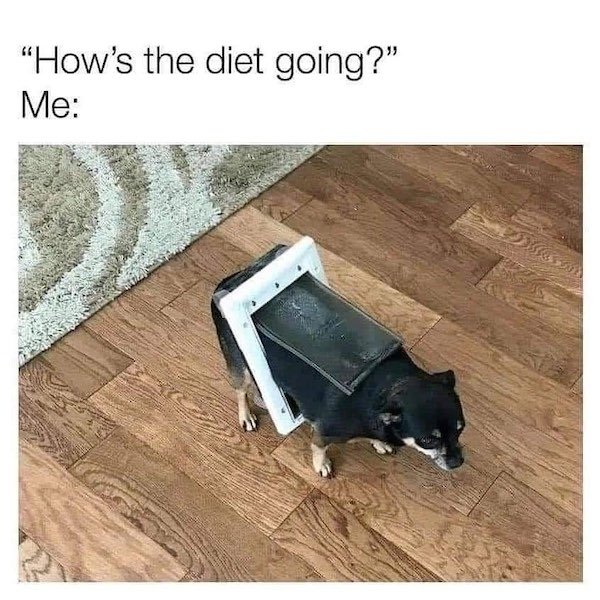 "How's the diet going?" Me