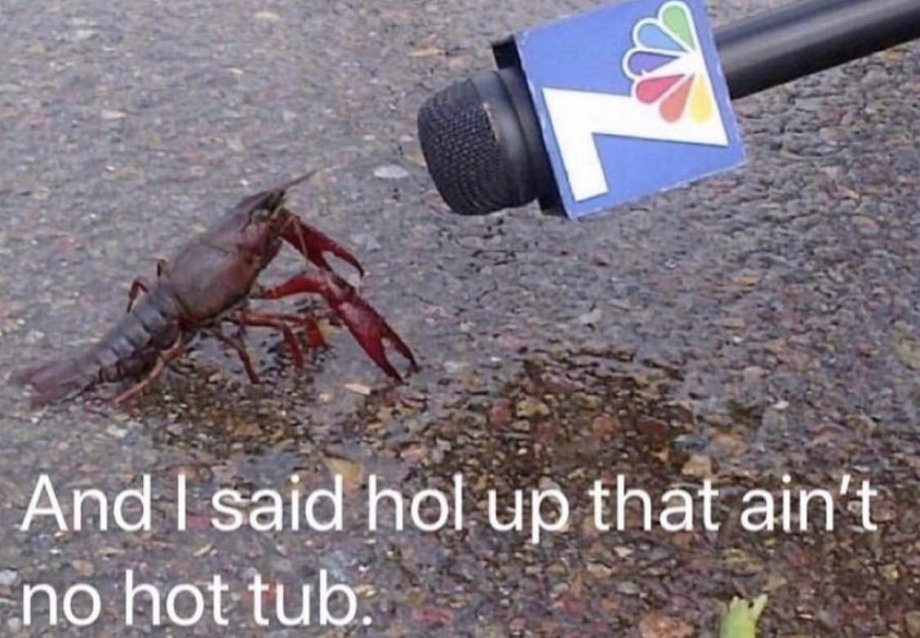 funny pics - And I said hol up that ain't no hot tub. - lobster interview
