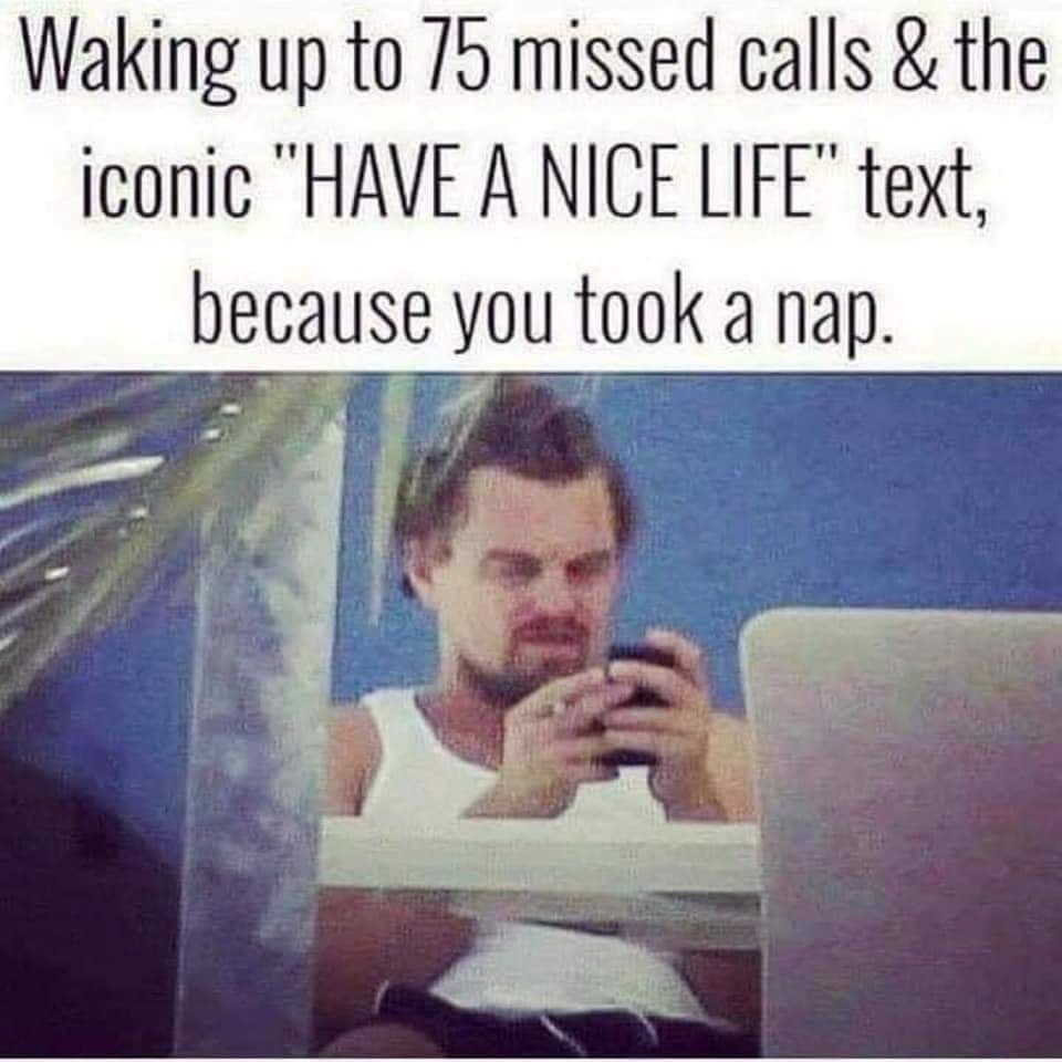funny pics - Waking up to 75 missed calls & the iconic have a nice life text because you took a nape
