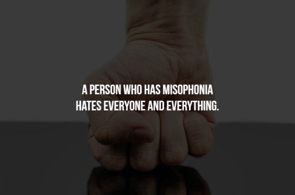 hand - A Person Who Has Misophonia Hates Everyone And Everything.