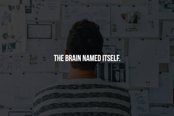 Design thinking - The Brain Named Itself.