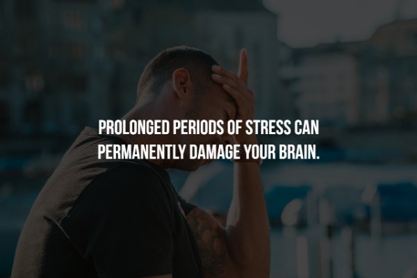 davis birth of the cool - Prolonged Periods Of Stress Can Permanently Damage Your Brain.