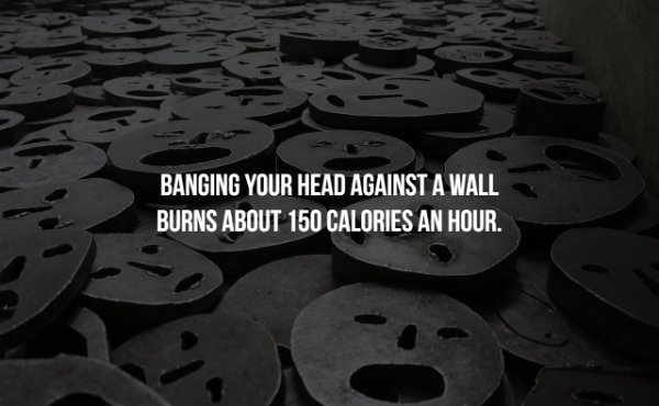 Metal - Banging Your Head Against A Wall Burns About 150 Calories An Hour.