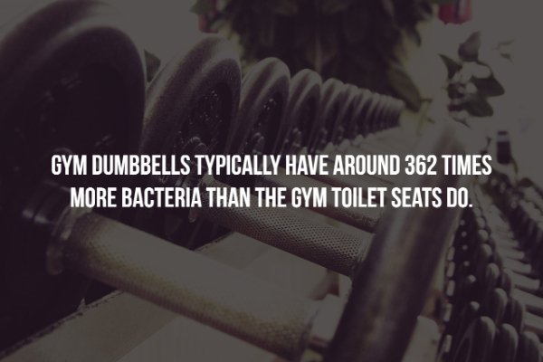 full screen gym - Gym Dumbbells Typically Have Around 362 Times More Bacteria Than The Gym Toilet Seats Do.