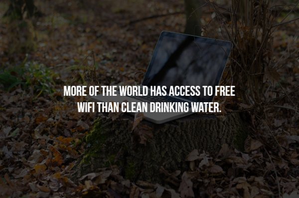 forest computer - More Of The World Has Access To Free Wifi Than Clean Drinking Water.