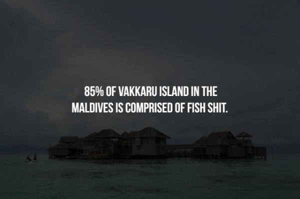 sky - 85% Of Vakkaru Island In The Maldives Is Comprised Of Fish Shit.